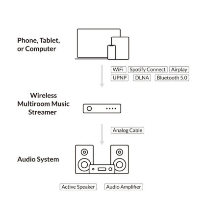 Arylic S50 Pro+